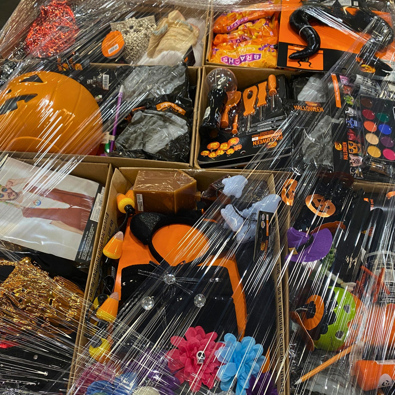 Assorted (HALLOWEEN) WLGR Seasonal General Merchandise