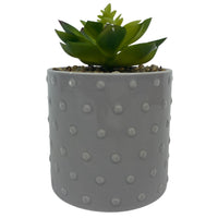 Thumbnail for Garden Party Grey Dotted Ceramic Pot Succulent (40 Pcs Lot) - Discount Wholesalers Inc